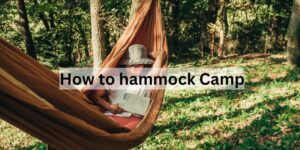 hammock Camp