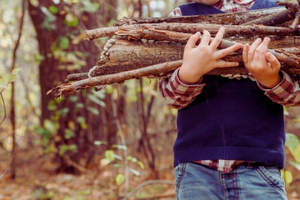 firewood for camping